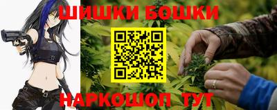 индика Комсомольск-на-Амуре