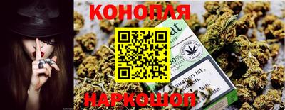 индика Комсомольск-на-Амуре
